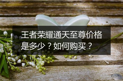 王者荣耀通天至尊价格是多少?如何购买?